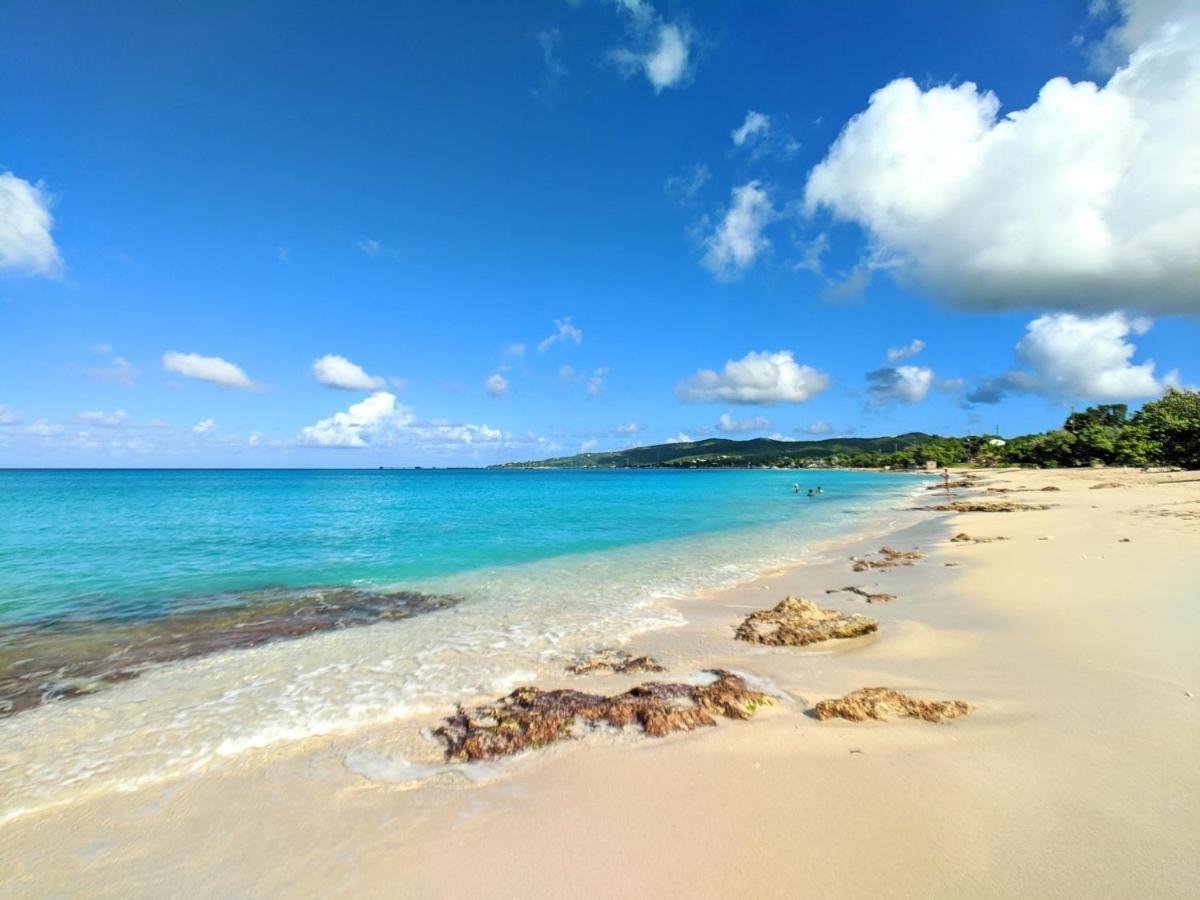 Sand Castle On The Beach - Adults Only Frederiksted ภายนอก รูปภาพ